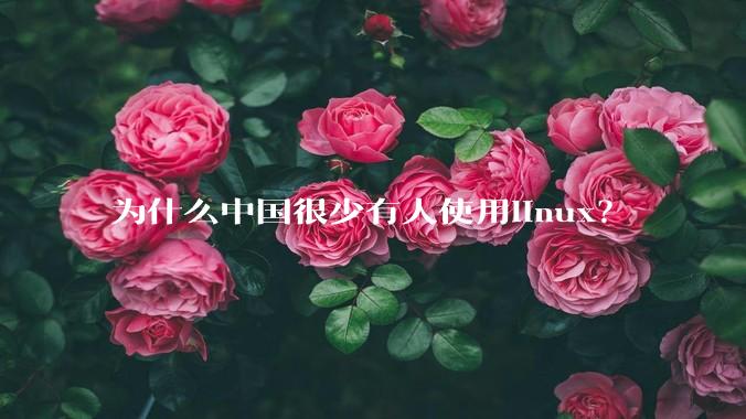 为什么中国很少有人使用linux？