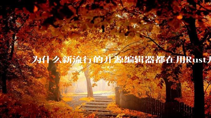 为什么新流行的开源编辑器都在用Rust开发？