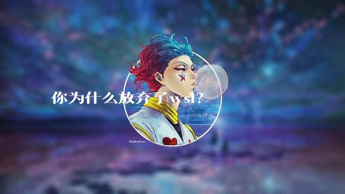 你为什么放弃了wsl？