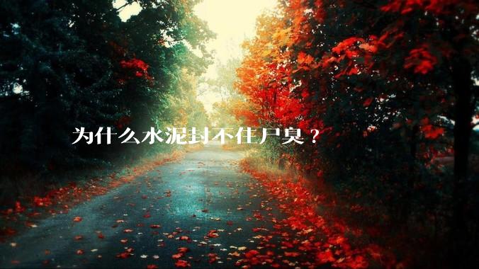为什么水泥封不住尸臭?