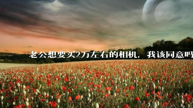 老公想要买2万左右的相机，我该同意吗？